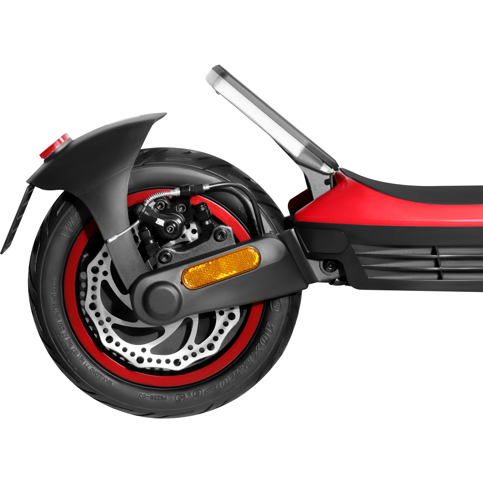 ZLion Pro Corallium - Imagen 5